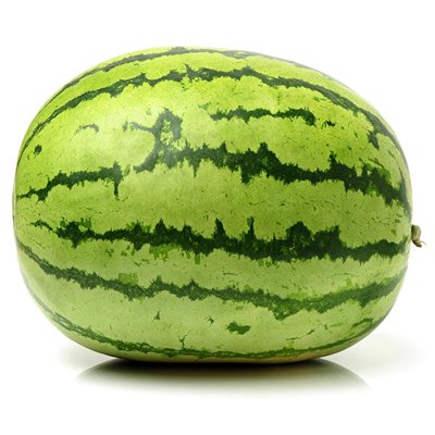 Water-Melon-Striped-Oval (1)