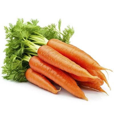 carrot (1)