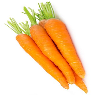 e6da4b908ec71025966bd27872bbd47f--carrots (1)